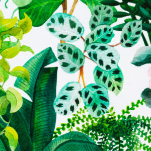 Draperie imprimata digital Dig 2605 Verde